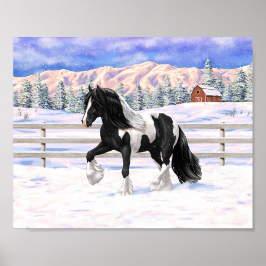 Poster Cheval de trait Gypsy Vanner Piebalde Pinto Noir (Devant)