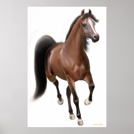 Poster Cheval de Trotting Bay (Devant)