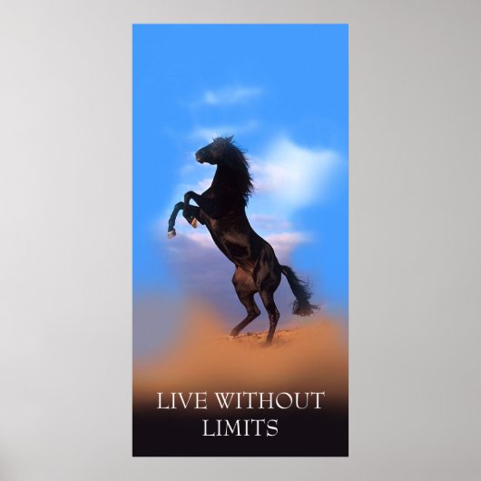 Poster Cheval d'élevage motivationnel Vit sans limites (Devant)