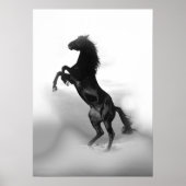 Poster Cheval d'élevage noir blanc (Devant)