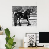 Poster Cheval d'étalon noir (Bureau à domicile)