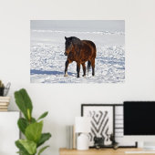 Poster Cheval d'hiver de la Baie "Année du Cheval" Equine (Bureau à domicile)