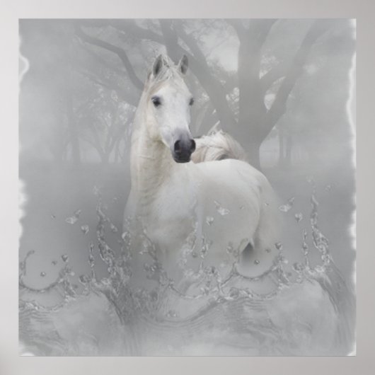 Poster Cheval d'Imaginaire (Devant)