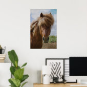 Poster Cheval d'Islande III (Bureau à domicile)
