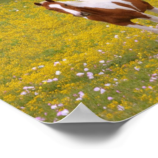 Poster Cheval doux fort et Écriture 2 Timothée 1:7 (Coin)