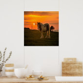 Poster Cheval du coucher du soleil (Cuisine)