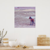 Poster Cheval du désert P8640 (Cuisine)