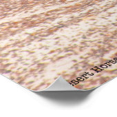 Poster Cheval du désert P8664 (Coin)