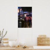 Poster Cheval du Foal dans la grange (Cuisine)
