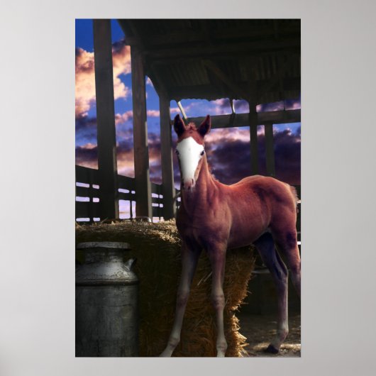 Poster Cheval du Foal dans la grange (Devant)