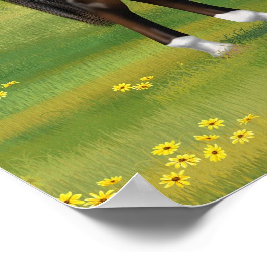 Poster Cheval du Quartier des Dun Buckskin (Coin)