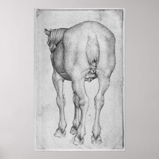 Poster Cheval, du Vallardi Album (Devant)