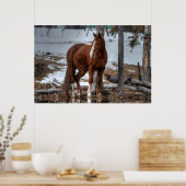 Poster Cheval Dun Ranch À Boire Trou Equine Photo (Cuisine)