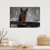 Poster Cheval en Neige (Cuisine)
