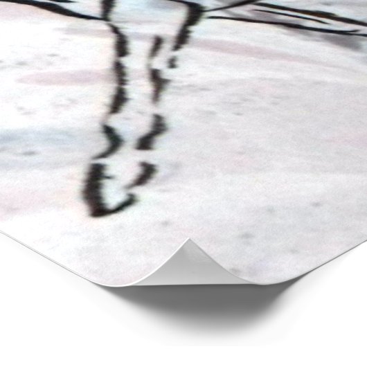 Poster Cheval en stylo et encre sur papier marbré (Coin)