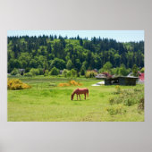 Poster Cheval en Vallée Imprimer (Devant)