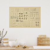 Poster Cheval Equine Conformation Graphique Legs Démarche (Cuisine)