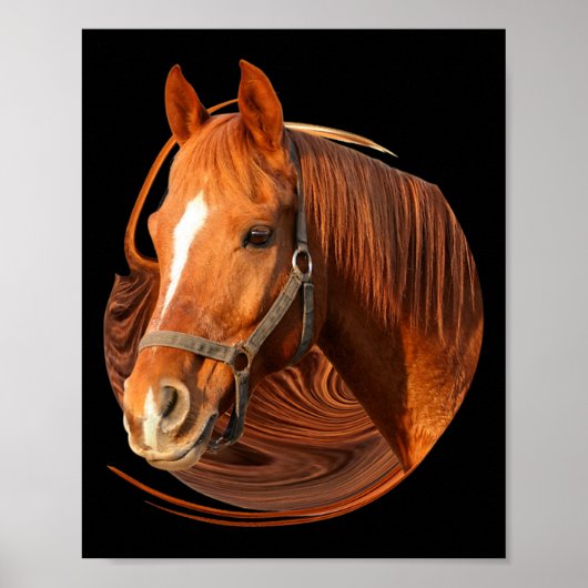 Poster Cheval équitation Graphisme Cheval Photo - Cheval  (Devant)