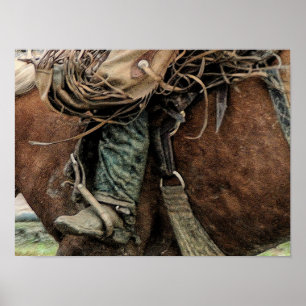 Poster Cheval équitation Western Rodeo Cowboy