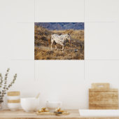 Poster Cheval errant dans les collines panoramiques de Bi (Cuisine)