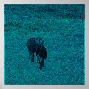 Poster Cheval et âne