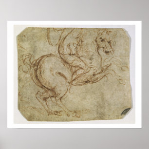 Poster Cheval et Cavalier (stylo et encre sur papier)