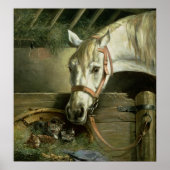 Poster Cheval et chatons, 1890 (Devant)