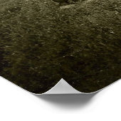 Poster Cheval et ombre (Coin)