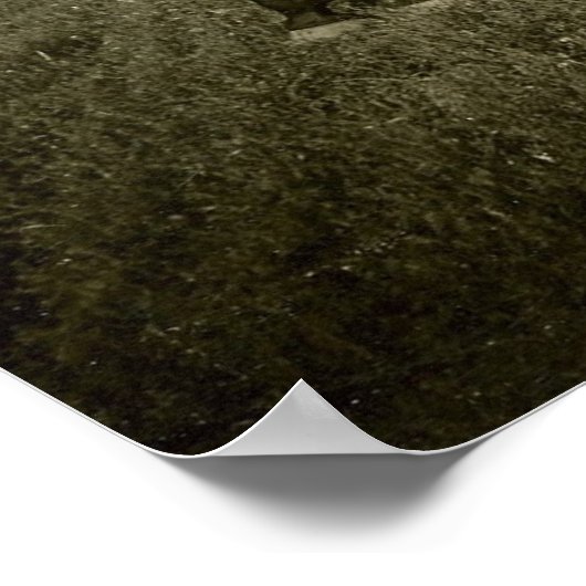 Poster Cheval et ombre (Coin)