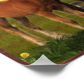 Poster Cheval et poney (Coin)