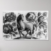 Poster Cheval et Rose (Devant)