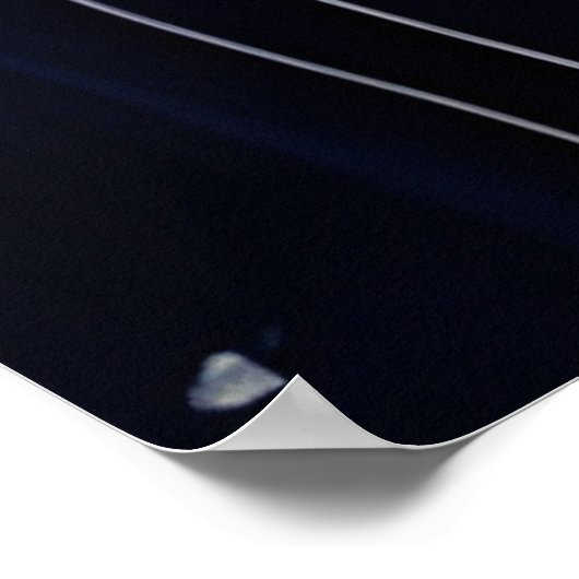 Poster Cheval et Rose (Coin)