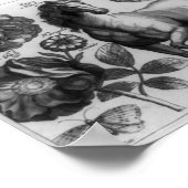 Poster Cheval et roses (Coin)