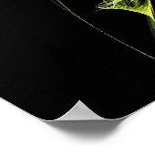 Poster Cheval fantôme (Coin)