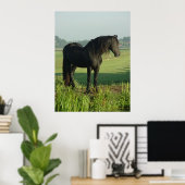 Poster Cheval friésien (Bureau à domicile)