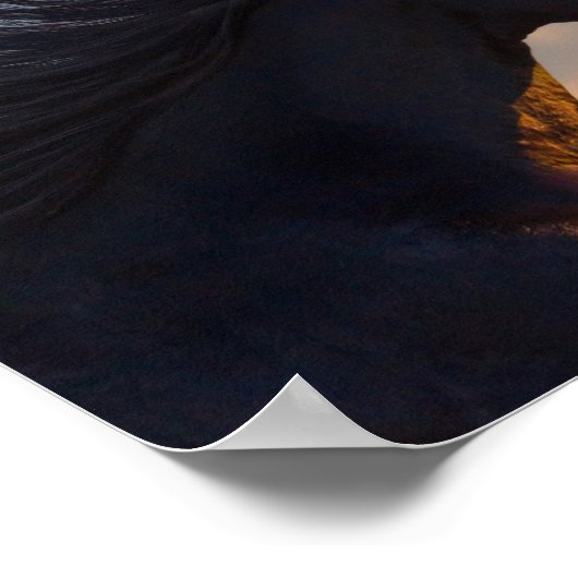 Poster Cheval friésien noir à Sunlight Découpage Imprimer (Coin)