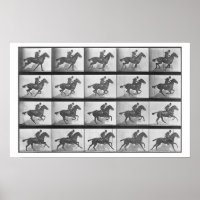 Cheval galopant, assiette 628 de 'Locomotion Anima