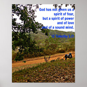Poster Cheval gris inspirant Timothy Bible Verse Dieu