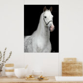 Poster Cheval gris pomme (Cuisine)
