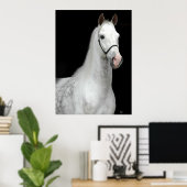 Poster Cheval gris pomme (Bureau à domicile)