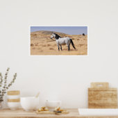 Poster Cheval Gris Sauvage, Utah (Cuisine)