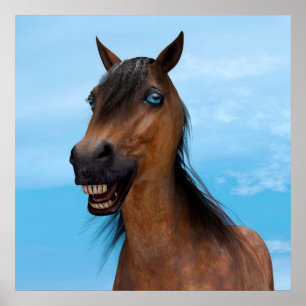 Poster Cheval heureux