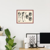 Poster Cheval Hoof Leg Bones Muscle Anatomie Imprimer (Bureau à domicile)