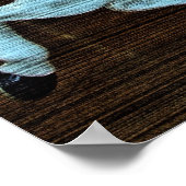 Poster Cheval horizontal à grains de merry-Go-Round (Coin)