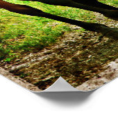 Poster Cheval idiot (Coin)