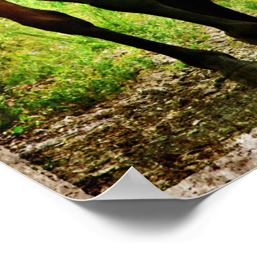 Poster Cheval idiot (Coin)