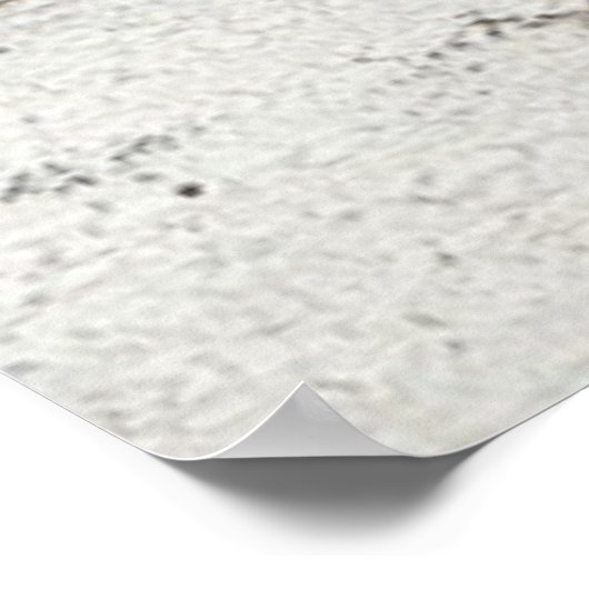 Poster Cheval inspirant (Coin)