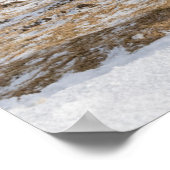 Poster Cheval islandais | Blonduos, Islande (Coin)