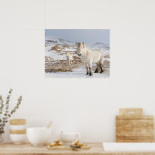 Poster Cheval islandais | Blonduos, Islande (Cuisine)