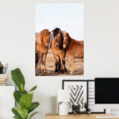 Poster Cheval islandais en hiver (Bureau à domicile)